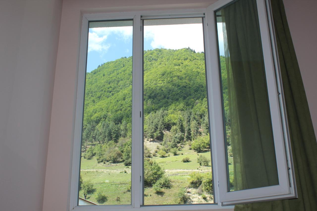Mariana's Guest House Mestia Extérieur photo